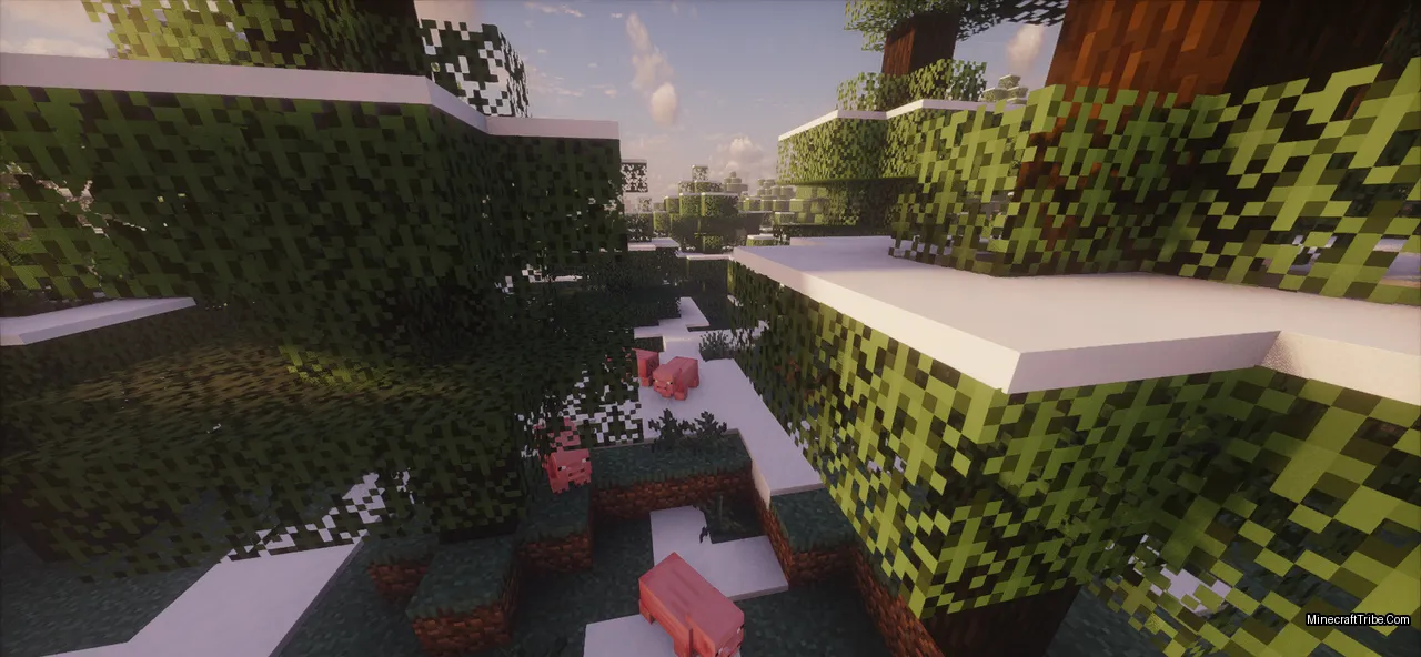 Erbium Shaders Screenshots 3