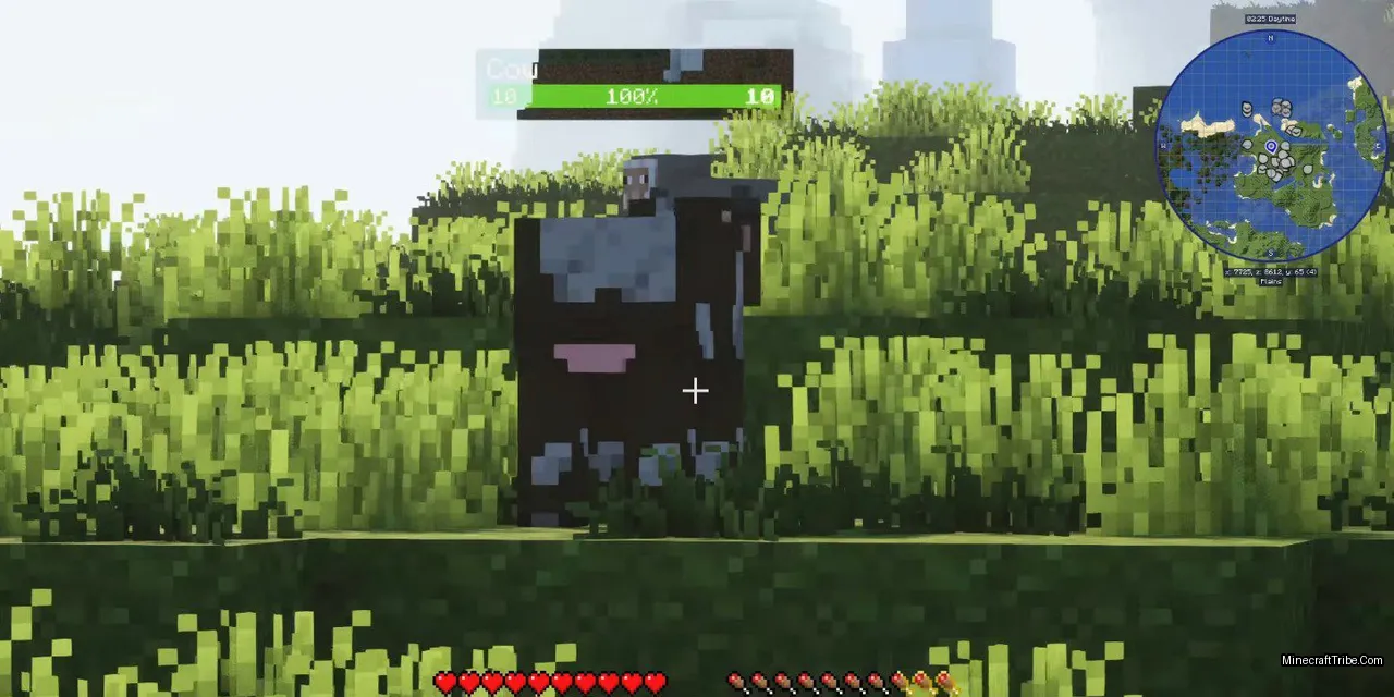 Immersed With Shaders Modpack Screenshots 3