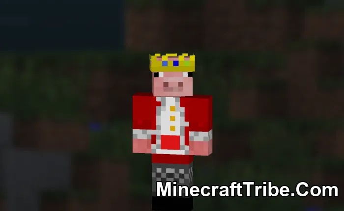 Legends Skin Pack Mcpe 6