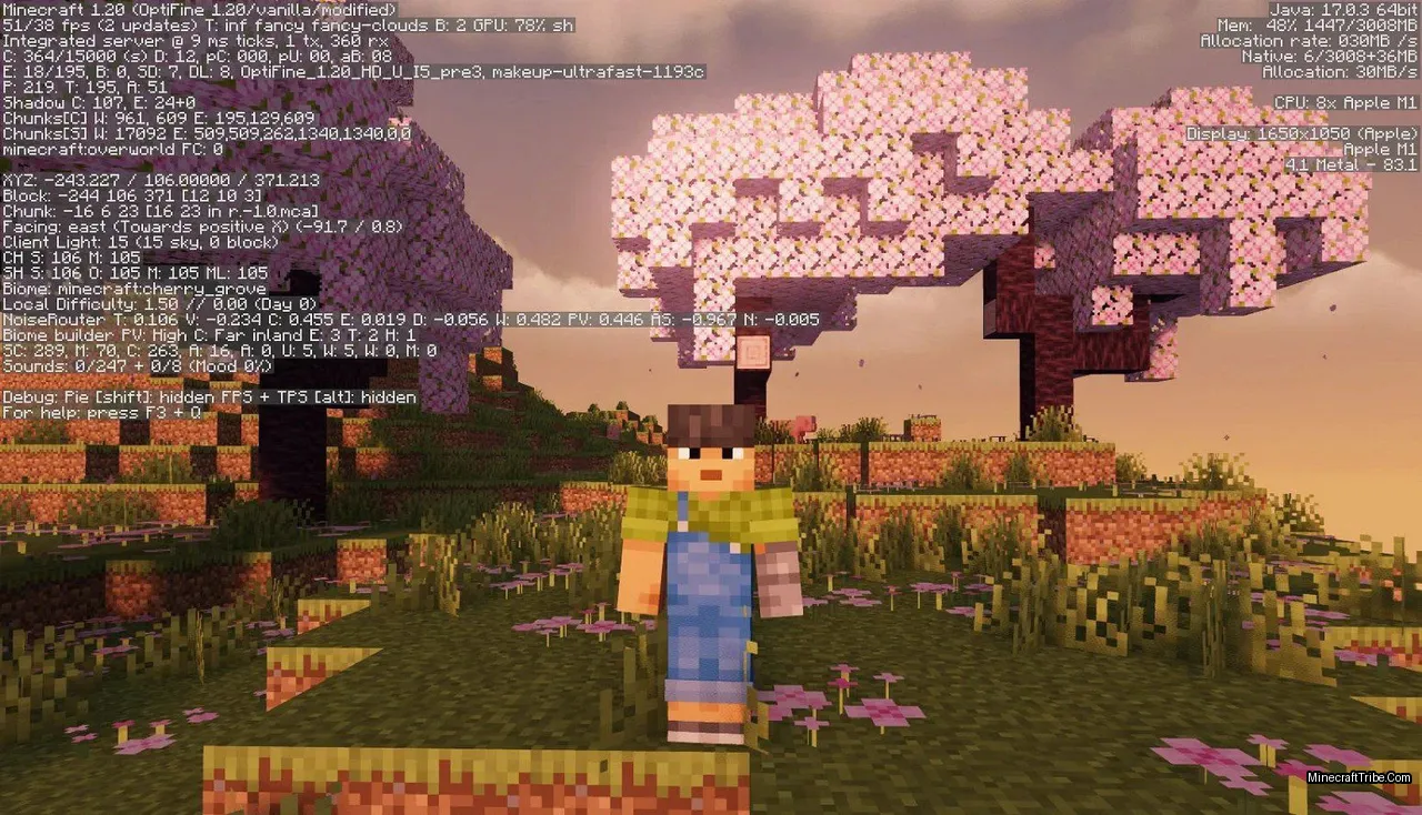 More Fps Modpack Screenshots 4
