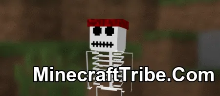 Pirates Skin Pack Mcpe 11
