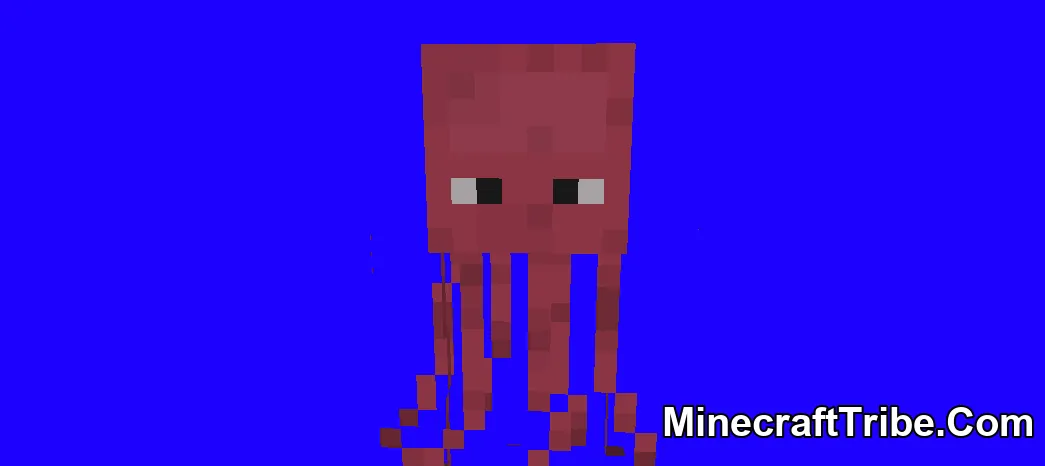 Pirates Skin Pack Mcpe 5