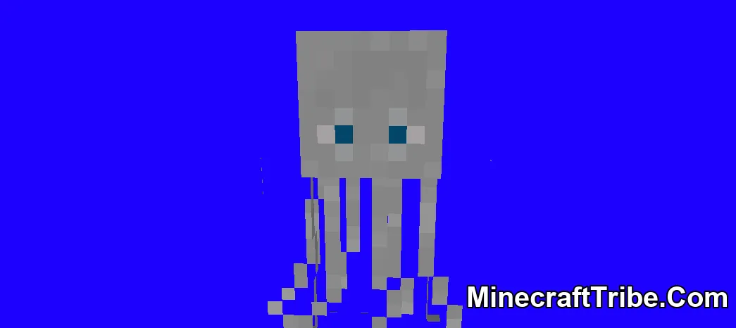 Pirates Skin Pack Mcpe 6