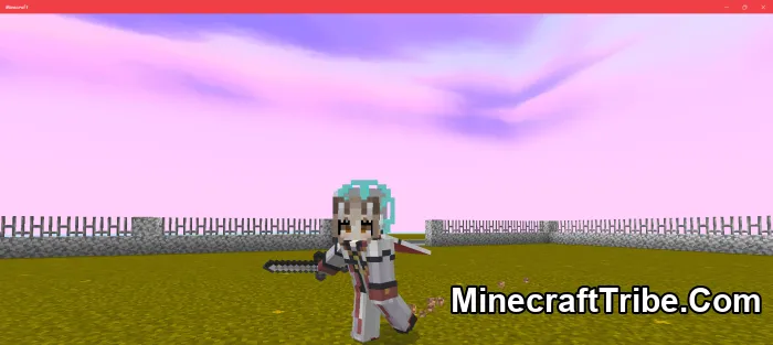 Player Animation Pack Mcpe 6