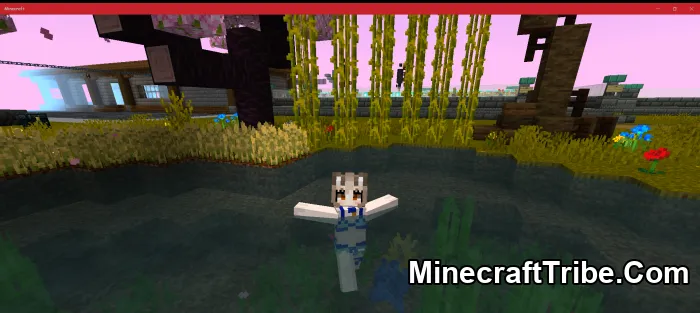 Player Animation Pack Mcpe 7