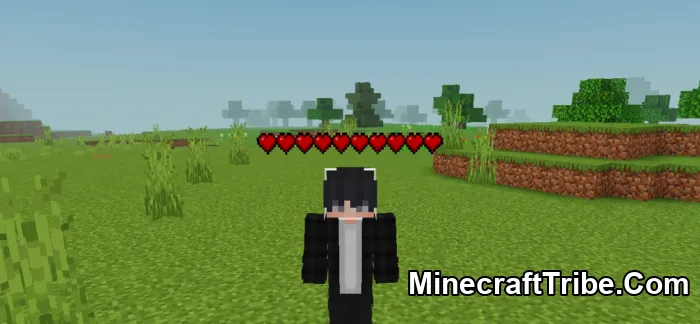 Player Health Indicator Pack Mcpe 2