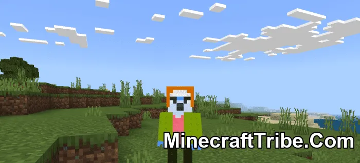 Regular Show Skin Pack Mcpe 1