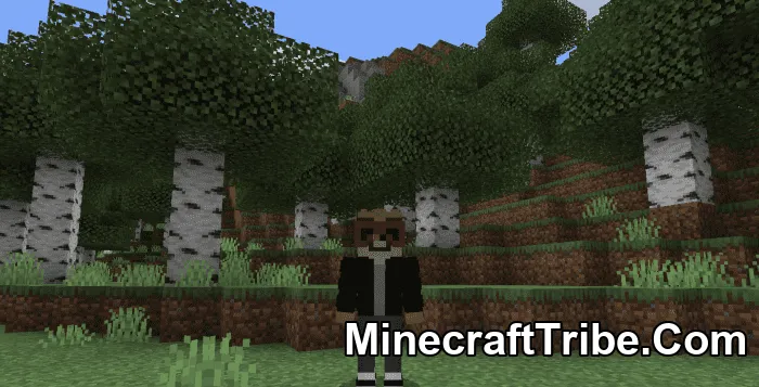 Regular Show Skin Pack Mcpe 15