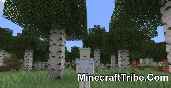 Regular Show Skin Pack Mcpe 16