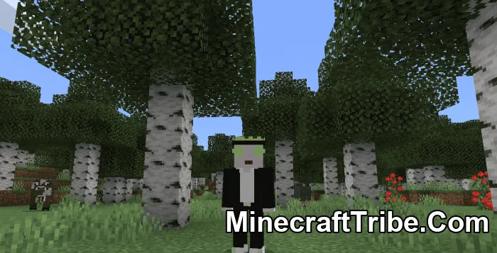 Regular Show Skin Pack Mcpe 17