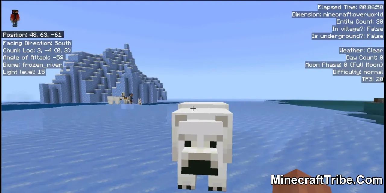 Stars Debug Screen Addon Mcpe 3