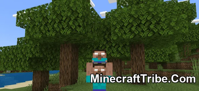Steve Alex Holding Skin Pack Mcpe 7