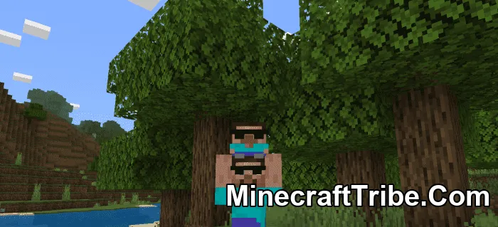 Steve Alex Holding Skin Pack Mcpe 9